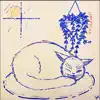 Twin Juno - Sleepy Cat - Single